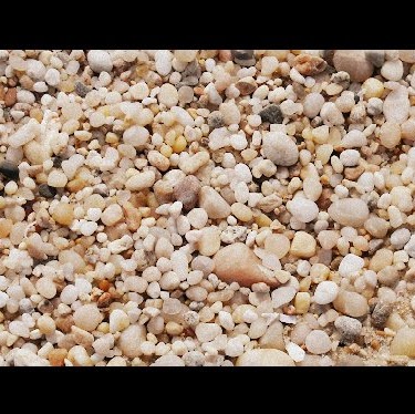 Lisa Shearer Photo 32