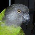 Beth Carlisle Photo 21