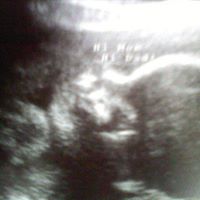 Danielle Freeman Photo 33 Danielle Freeman Photo 33