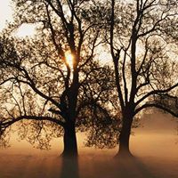 Latoya Stephens Photo 17