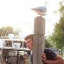 Phillip Smith Photo 32