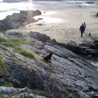 June Mccarthy Photo 13