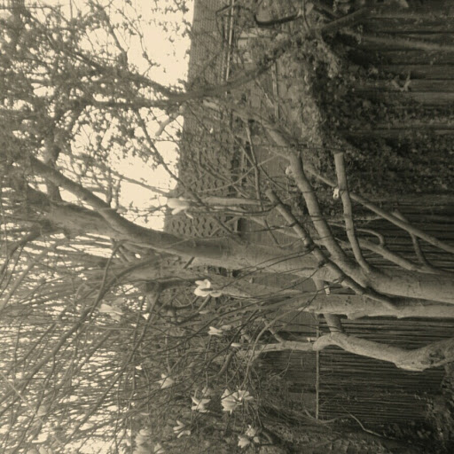 Cassandra Hunter Photo 23