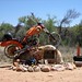 Terry Gill Photo 27