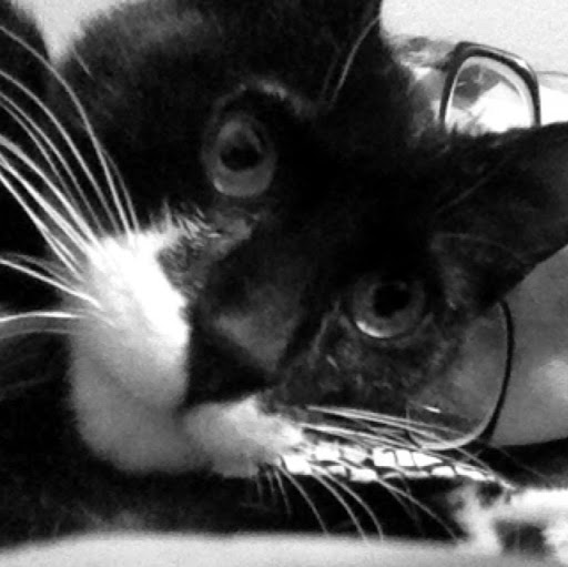 Kimberly Garrett Photo 40