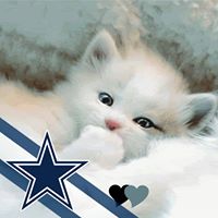 Cassandra Bright Photo 8