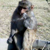 Mark Schaeffer Photo 13