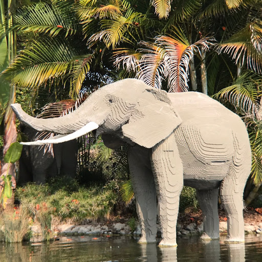 Matthew Graham Photo 46