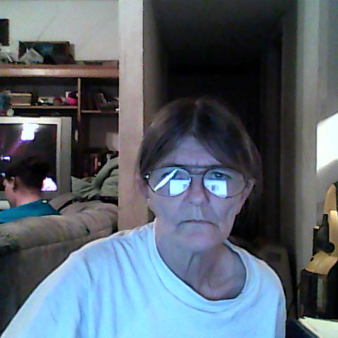 Cindy Mcwilliams Photo 19