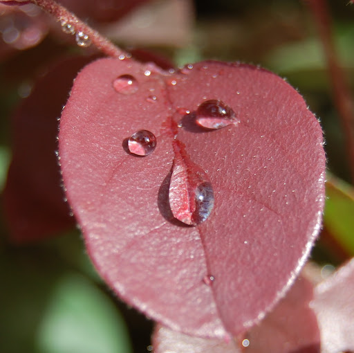 Janice Miller Photo 37