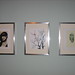 Julie Shannon Photo 46