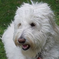 Michele Mccracken Photo 9