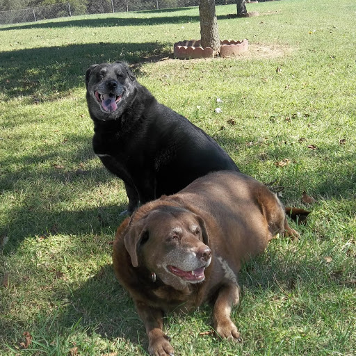 Larry Lockhart Photo 12