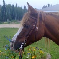 Kimberly Iverson Photo 12