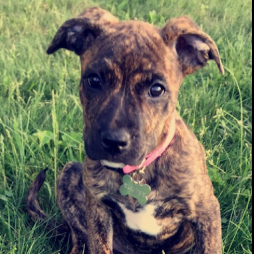 Michael Weir Photo 32