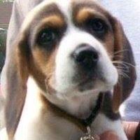 Wayne Warren Photo 25