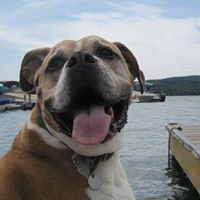 Kristin Williamson Photo 18