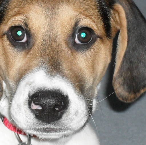 Jane Perkins Photo 20