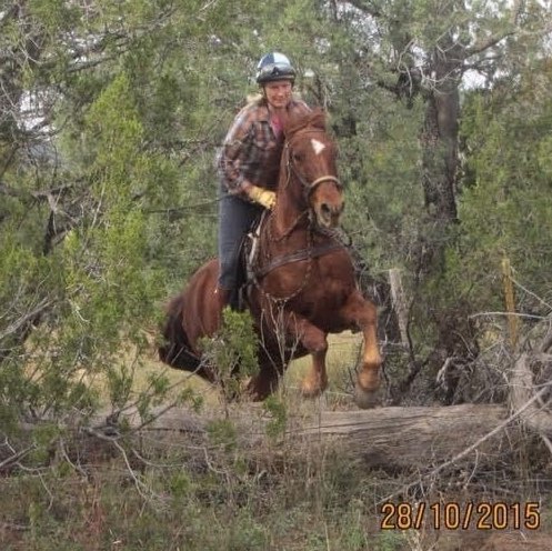 Julie Lovelace Photo 9