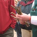 Judy Goodman Photo 16