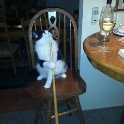 Vicki Spaulding Photo 11