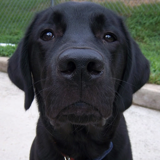 Stacey Rogers Photo 27