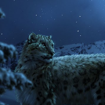 Rachel Pannell Photo 24