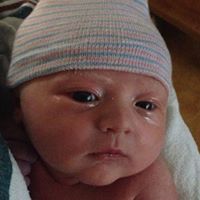 Paula Whitlock Photo 19