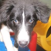 Nancy Chinn Photo 13