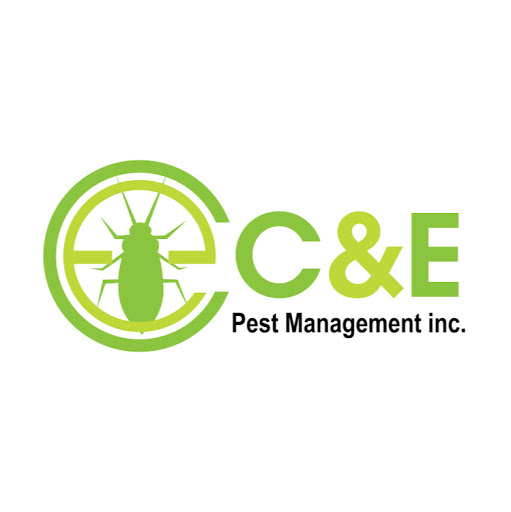 Cesar Moreno Photo 27