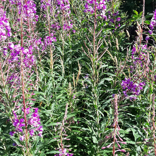 Rachel Muller Photo 14