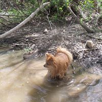 Kim Shrader Photo 10