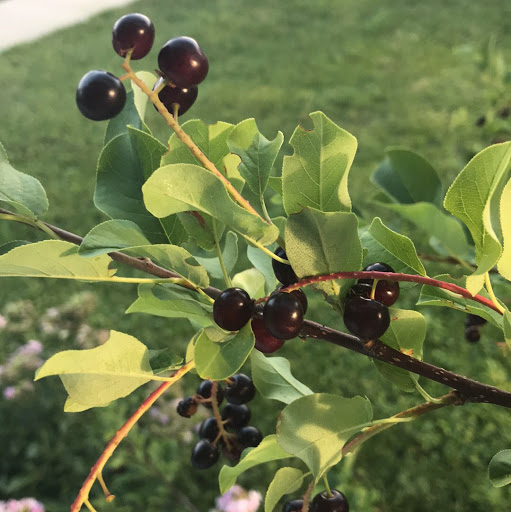 Michael Lockard Photo 22 Michael Lockard Photo 22