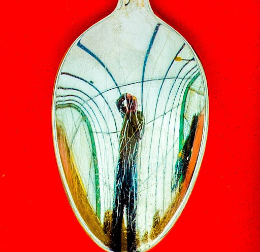 Timothy Graham Photo 27