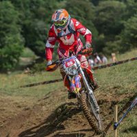 Dominic Rose Photo 17