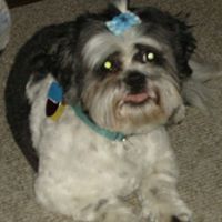 Neil Thiele Photo 2