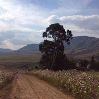 Caroline Maxey Photo 2