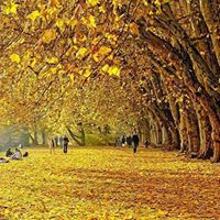 Pam Childers Photo 35