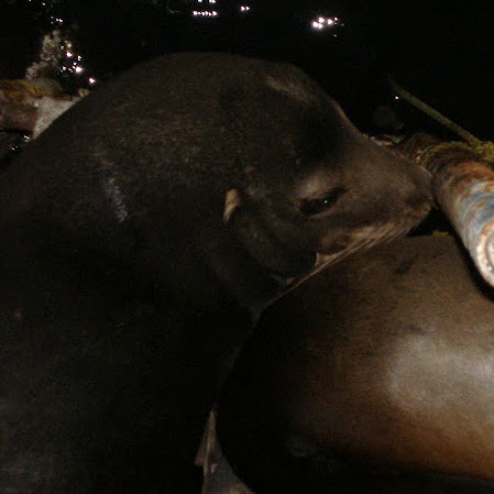 Kathleen Simmons Photo 22