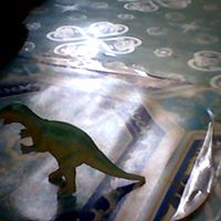 Evan Richardson Photo 31