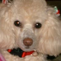 Veronica Nichols Photo 18