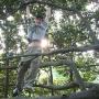 Stephen Gibbs Photo 21