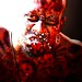 Todd Ray Photo 42