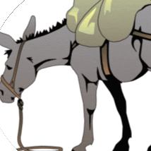 Justin Stewart Photo 11 Justin Stewart Photo 11