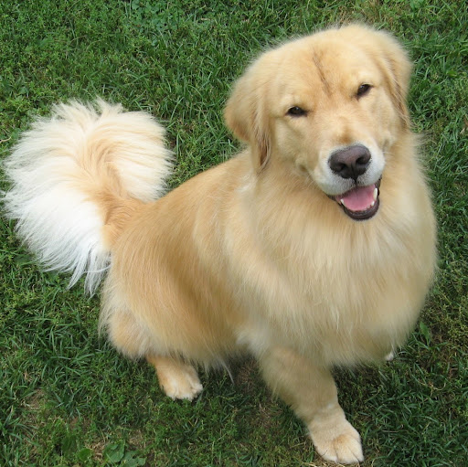 Kathleen Simmons Photo 25