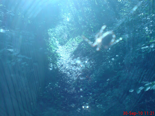 Francis Russell Photo 22