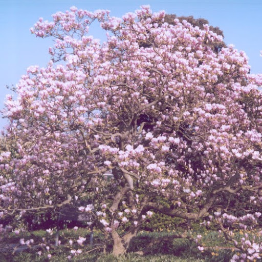 Lindsey Hobbs Photo 14