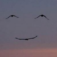 Judith Proctor Photo 20