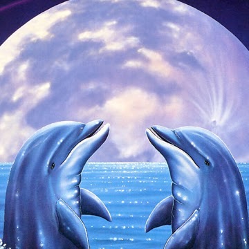 Julie Dutcher Photo 6