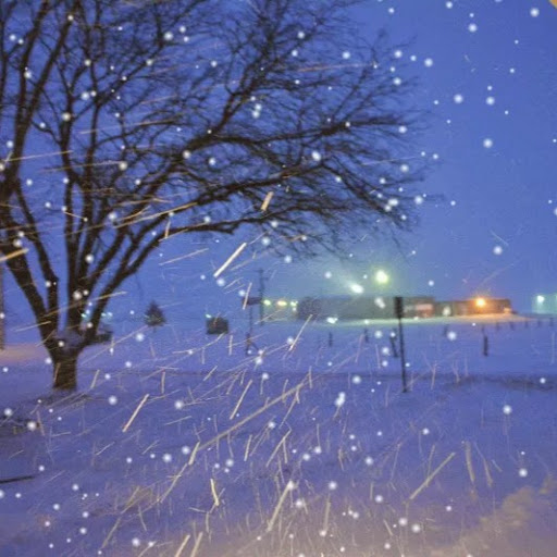 Evelyn Austin Photo 32